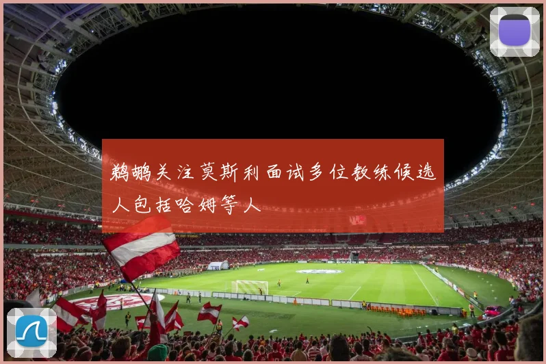 鹈鹕关注莫斯利面试多位教练候选人包括哈姆等人